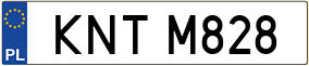 Trailer License Plate